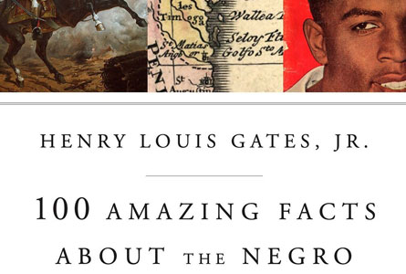 100 Amazing Facts About the Negro -  Henry Louis Gates Jr.